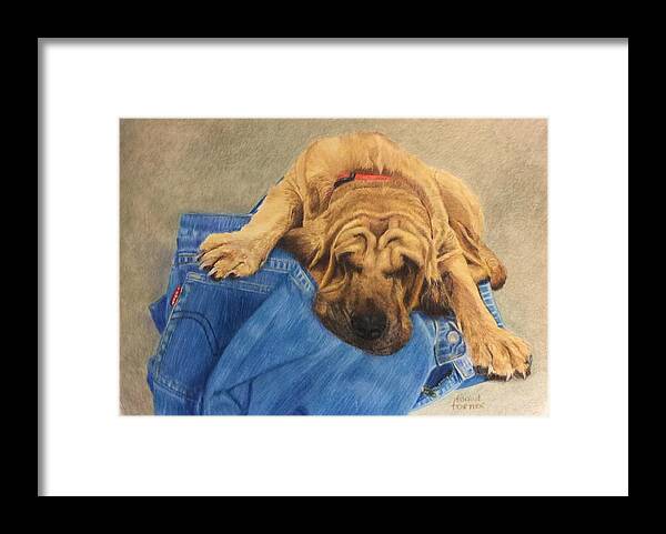 Hound Dog Framed Print featuring the painting Daddys Jeans by Forrest Fortier