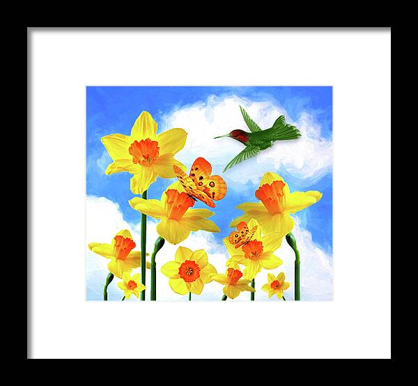 Daffodils Framed Print featuring the digital art Daffodil Garden Hummingbird by Doreen Erhardt