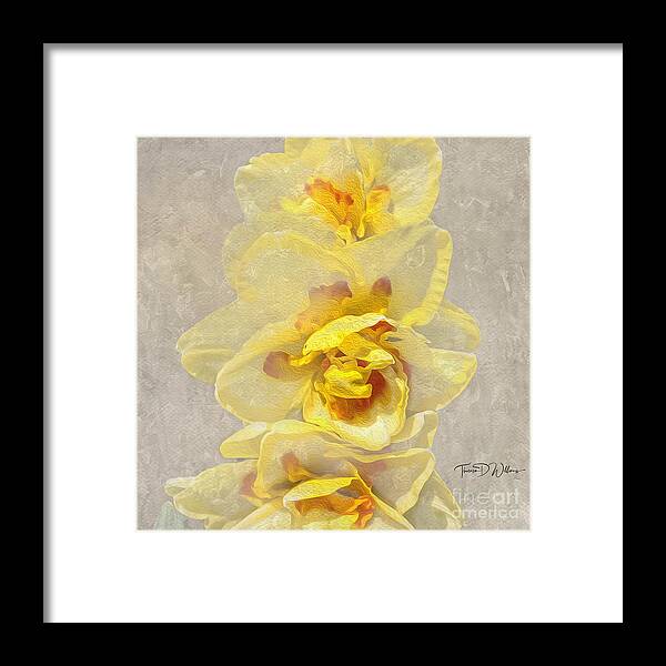Flowers Framed Print featuring the photograph Tennessee Spring Layers by Theresa D Williams