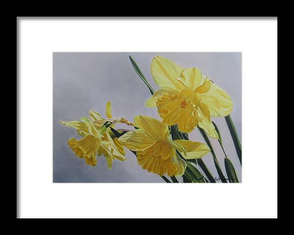 Floral Framed Print featuring the drawing Daffodils by Kelly Speros