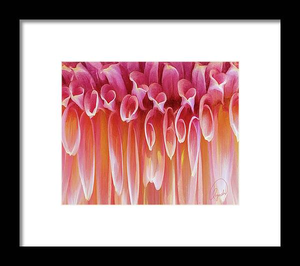 Abstract Framed Print featuring the photograph Dahlia by Karen Lynch