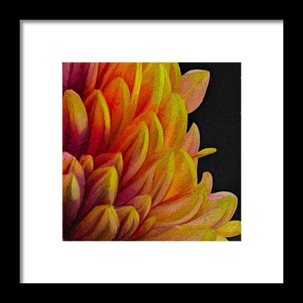 Dahlia Framed Print featuring the painting Dahlia - red, yellow, umber, maroon by Bonnie Bruno
