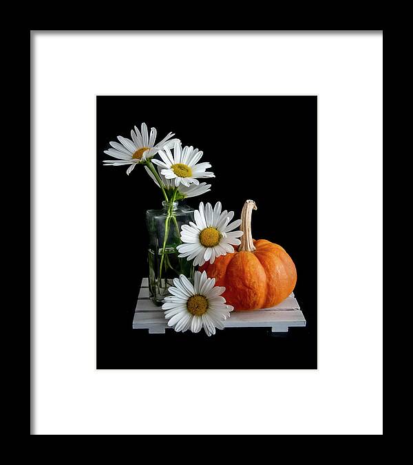 Flowers Framed Print featuring the photograph Daisies and Pumpkin by Cathy Kovarik