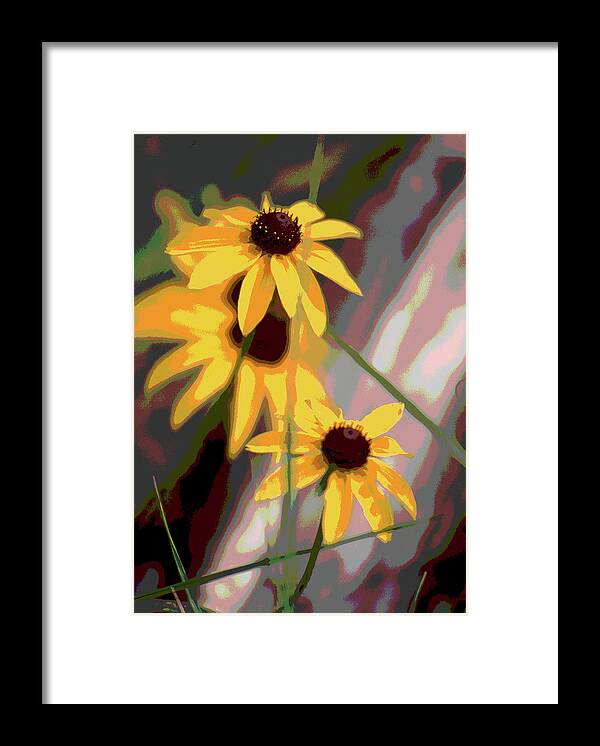 Daisies Framed Print featuring the mixed media Daisies by Francine Rondeau