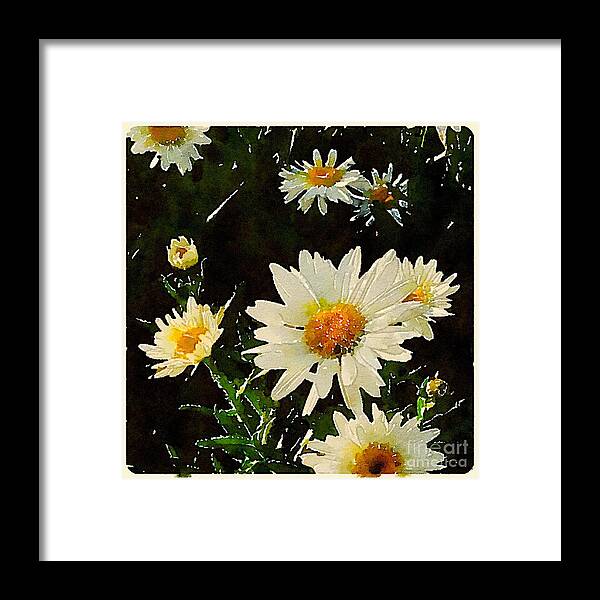 Daisies Framed Print featuring the digital art Daisies in the Dark by Wendy Golden