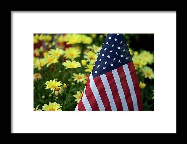 Flag Framed Print featuring the photograph Daisy Flag_015 by Rocco Leone
