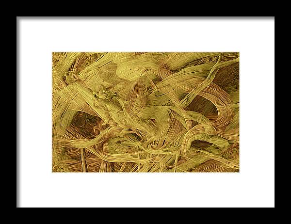 Rhythm Song Dance Framed Print featuring the digital art Dance Of The Ribbon Root Fairy by Becky Titus