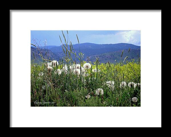 Dandelion Framed Print featuring the photograph Dandelions and Mountains by Kathryn Alexander MA