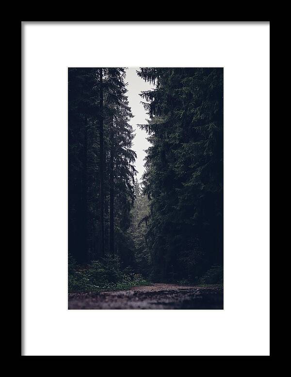 Forest Framed Print featuring the photograph Dark atmosphere in forest. Forgotten road in rainy day by Vaclav Sonnek