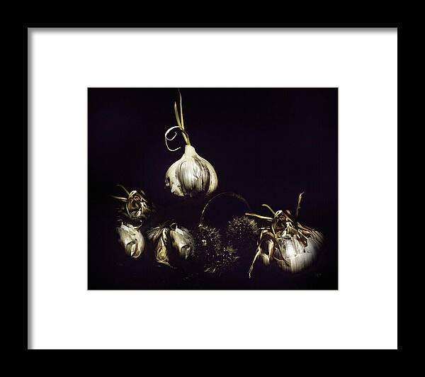Dark Framed Print featuring the mixed media Dark Garlic Still Life by Shelli Fitzpatrick
