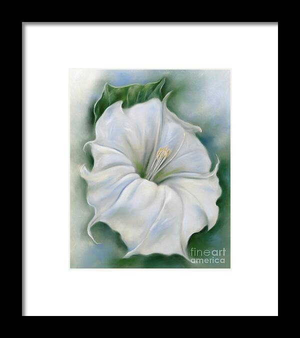 Botanical Framed Print featuring the painting Datura Blossom White Flower by MM Anderson