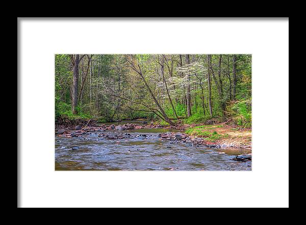 Davidson River Framed Print featuring the photograph Davidson River Dogwoods by Jim Dollar