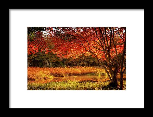 Rhode Island Fall Foliage Framed Print featuring the photograph Dawn lighting Rhode Island fall colors by Jeff Folger