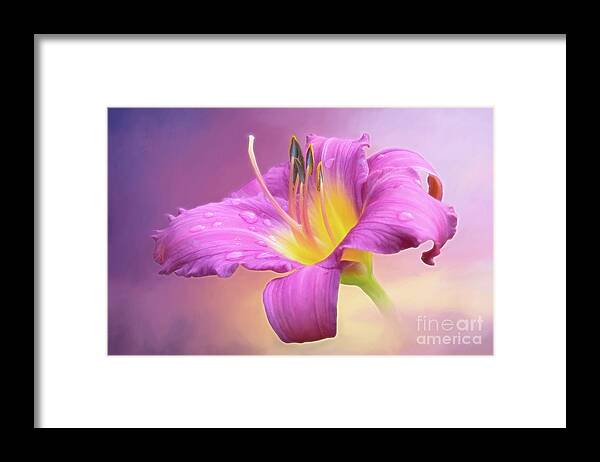 Little Grapette Daylily Framed Print featuring the photograph Daylily Delight by Anita Pollak