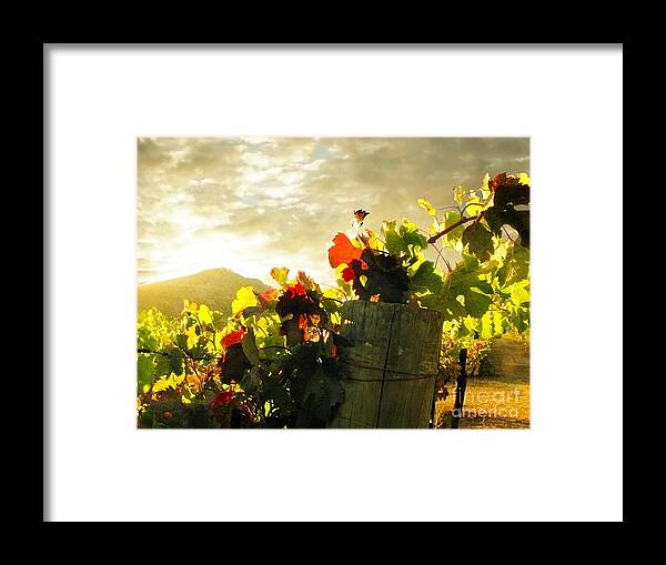 Napa Framed Print featuring the photograph Days End in Napa by Ellen Cotton