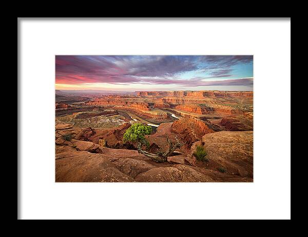 Moab Framed Print featuring the photograph Dead Horse Point by Whit Richardson