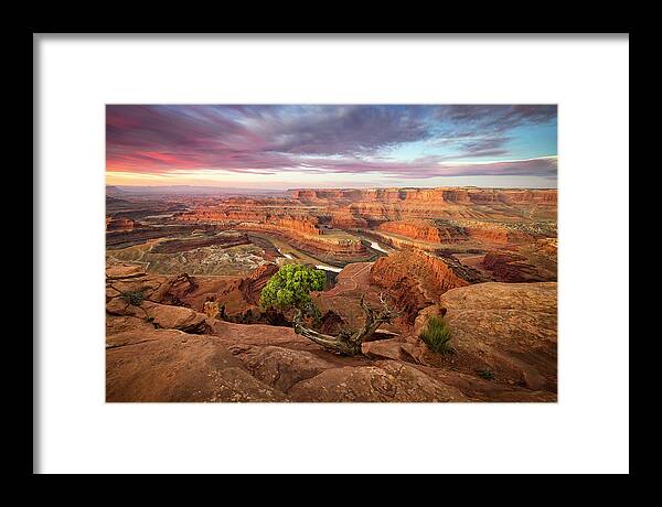 Moab Framed Print featuring the photograph Dead Horse Point by Whit Richardson