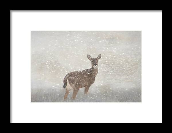 Deer Framed Print featuring the photograph Deer in Winter Snow by Marilyn Wilson