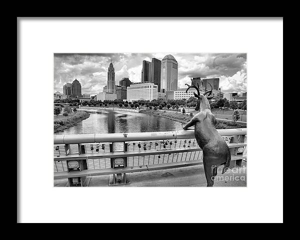 Rich Framed Print featuring the photograph Deer On The Rich Street Bridge Black And White by Adam Jewell