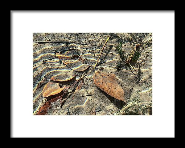 Stone Framed Print featuring the photograph Delaware River Underwater Landscape Leaves by Amelia Pearn