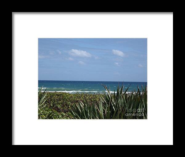 Beach Framed Print featuring the photograph Delray Beach A1A Florida by Catherine Ludwig Donleycott