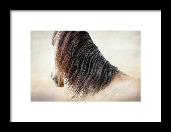 Photographs Framed Print featuring the photograph Demure - Horse Art by Lisa Saint