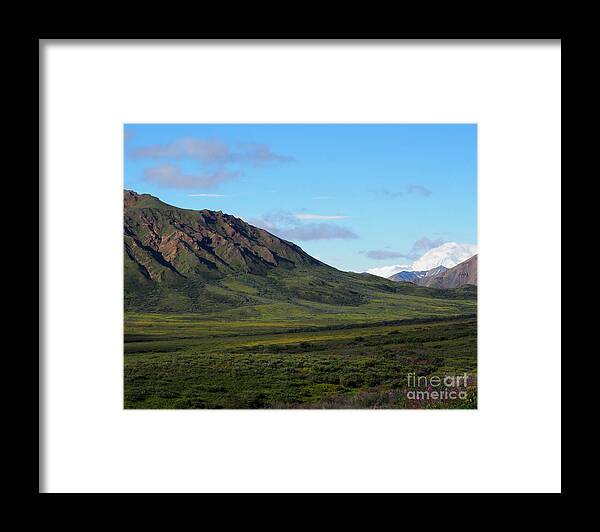 Denali National Park Framed Print featuring the photograph Denali in Denali by L Bosco