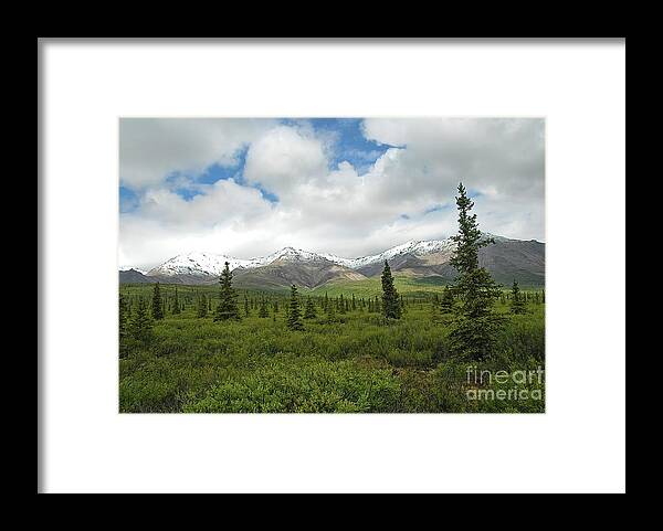 Denali National Park Framed Print featuring the photograph Denali National Park by Dyle Warren