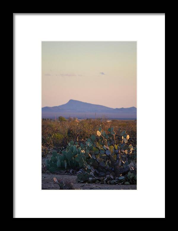 Desert Framed Print featuring the photograph Desert Morning by Alden White Ballard