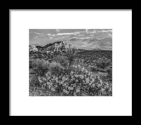 Scenic And Landscape Heavens Inspirational Spring March April Ma Framed Print featuring the photograph Desert purple mat, Red Rock Canyon National Recreation Area, Nev by Tim Fitzharris