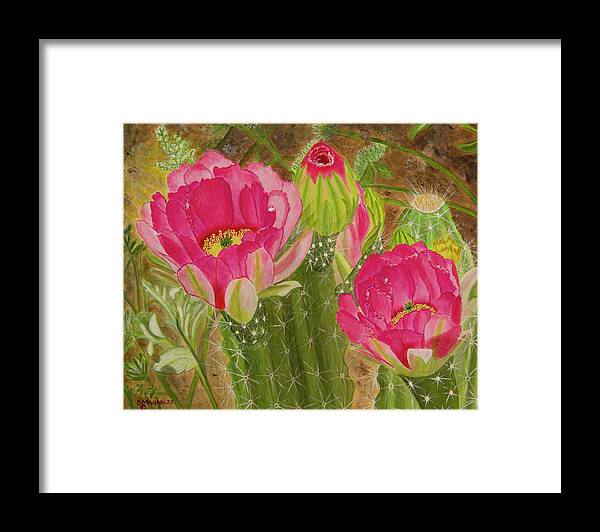 Cactus Framed Print featuring the painting Desert Stars by Donna Manaraze