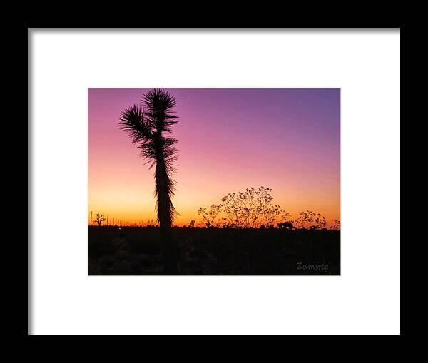Desert Framed Print featuring the photograph Desert Sunset by David Zumsteg