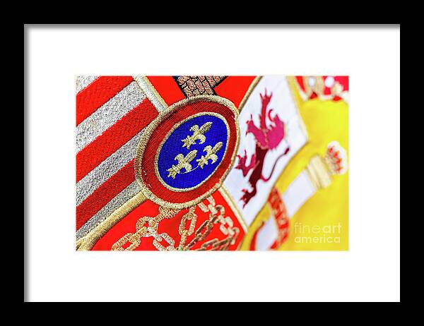 Background Framed Print featuring the photograph Detail of the historical shield of the national flag of Spain. by Joaquin Corbalan