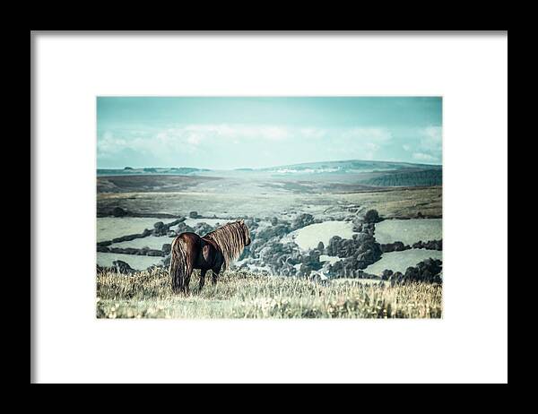 Photographs Framed Print featuring the photograph Devin - Horse Art by Lisa Saint