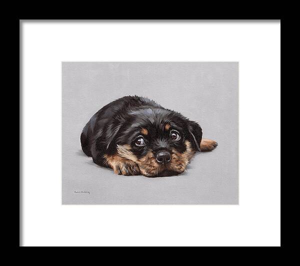 Puppy Framed Print featuring the painting Dexter by Rachel Stribbling