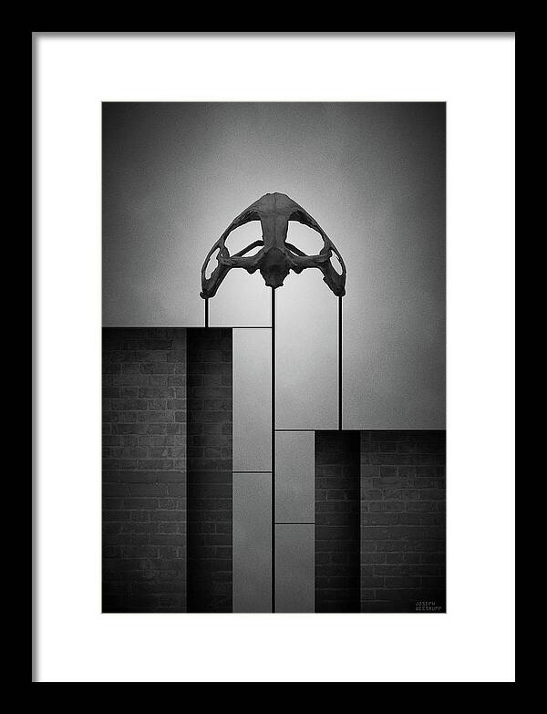 Graphic Framed Print featuring the photograph Disjecta ii by Joseph Westrupp