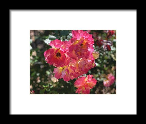 Roses Framed Print featuring the photograph Disney Roses Five by Brian Watt