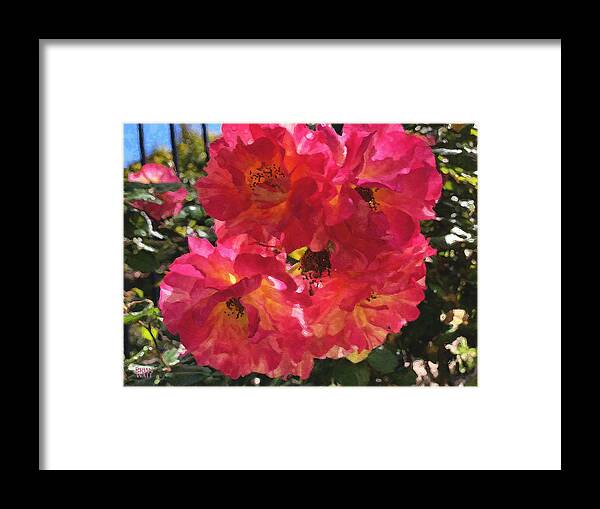 Roses Framed Print featuring the photograph Disney Roses One by Brian Watt
