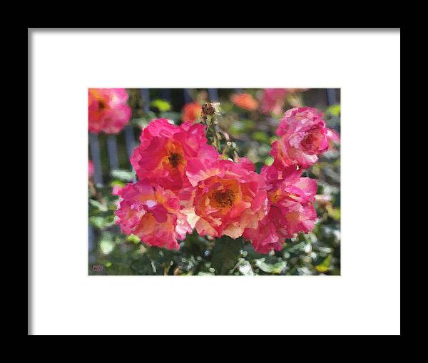 Roses Framed Print featuring the photograph Disney Roses Two by Brian Watt