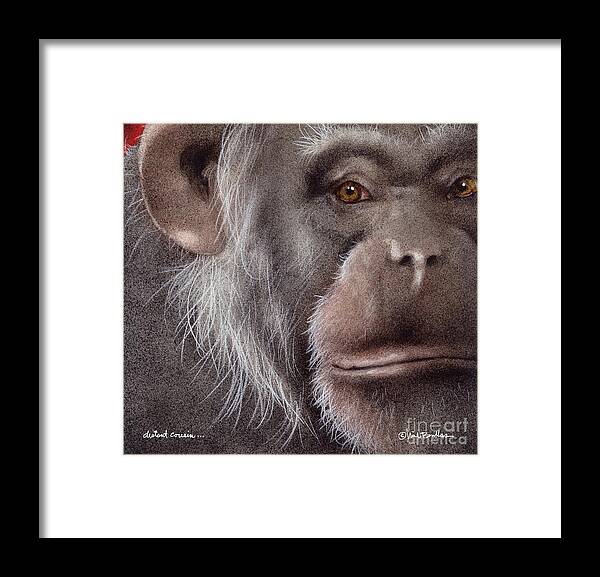 Ape Framed Print featuring the painting Distant Cousin... by Will Bullas