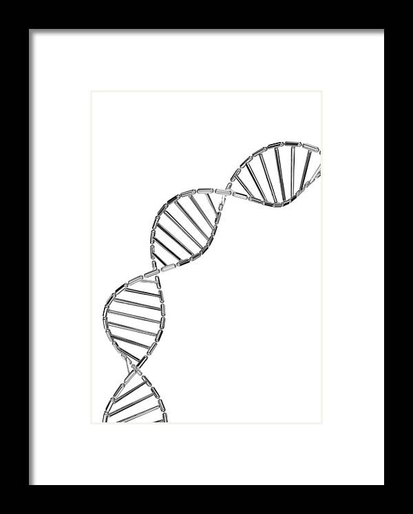 Medical Research Framed Print featuring the photograph DNA helix made from mirror polished metal capsule by I Like That One