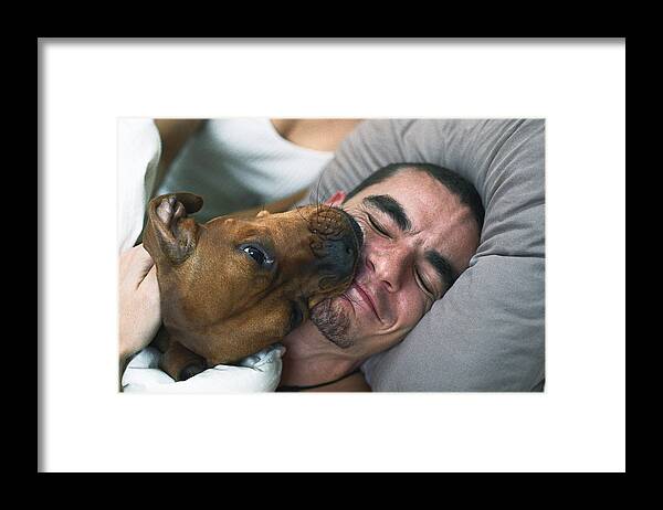 Pets Framed Print featuring the photograph Dog licking sleeping man's smiling face by PhotoAlto/Katarina Sundelin