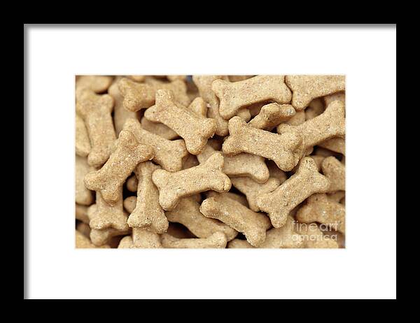 Dog Framed Print featuring the photograph Dog Treats by Vivian Krug Cotton