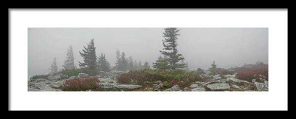 Monongahela Framed Print featuring the photograph Dolly Sods Fog Panorama by Carolyn Hutchins