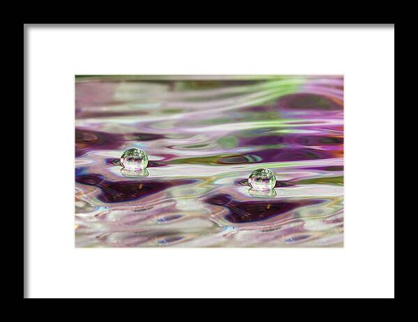 Liquid Art Framed Print featuring the photograph Double Delight by Connie Publicover