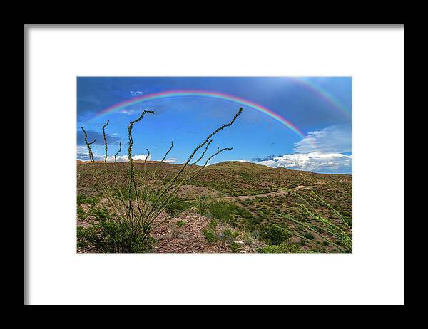Landscape Framed Print featuring the photograph Double Desert Rainbow by Erin K Images
