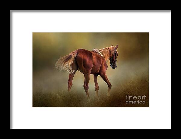 Horse Framed Print featuring the photograph Dream Horse by Shelia Hunt