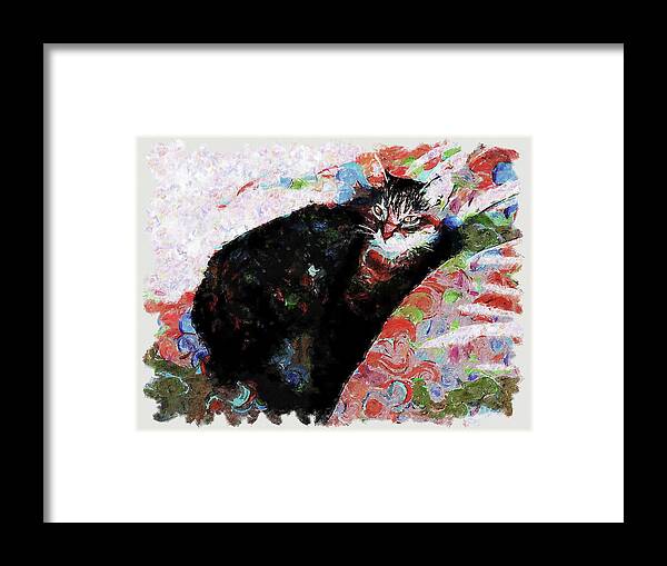 American Framed Print featuring the painting Dreamy Colorful Painting American Shorthair Cat by Custom Pet Portrait Art Studio