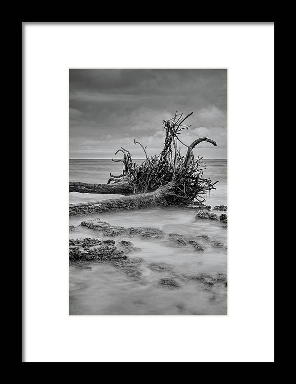 Black Framed Print featuring the photograph Driftwood Beach in Black and White by Carolyn Hutchins
