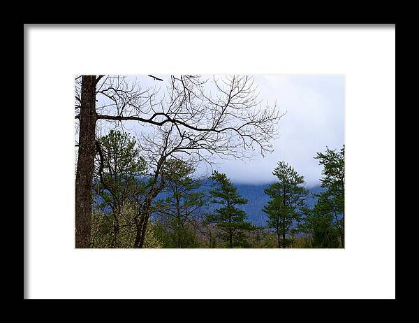 Driving Into The Smoky Mountains Framed Print featuring the photograph Driving Into the Smoky Mountains by Warren Thompson